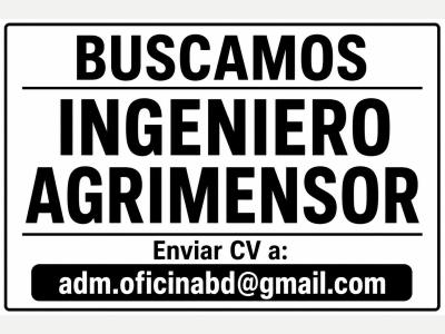  Buscamos Ingeniero Agrimensor 